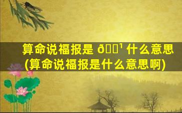 算命说福报是 🌹 什么意思(算命说福报是什么意思啊)